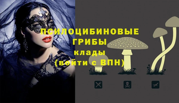 каннабис Дмитровск