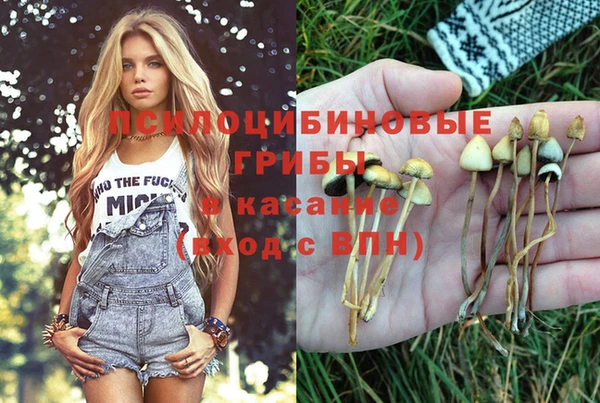 прущая мука Приозерск